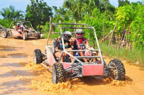 buggies